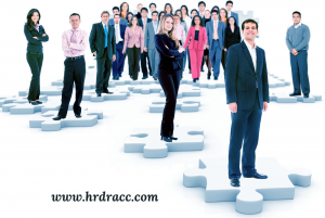Human Resource Dimensions: Your Trusted Human Resource Recruiting Firm